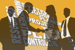 微信分付提现攻略，揭秘各种支持提现的方法与技巧