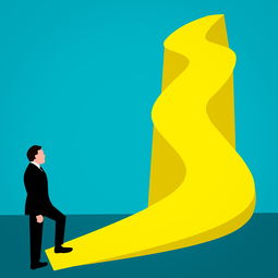 揭秘好哒白条套取技巧，全攻略与案例分析