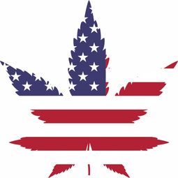 美国新冠医药品牌排行榜