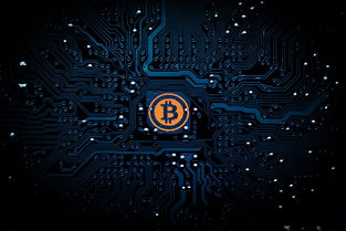支付白条提现攻略，揭秘白条提现的真相与操作步骤