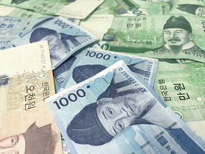 韩国化妆品品牌的魅力与影响力