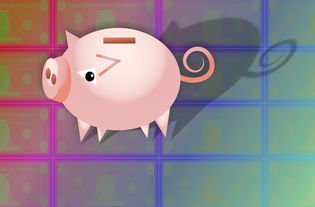 宠物母婴品牌的创新与责任