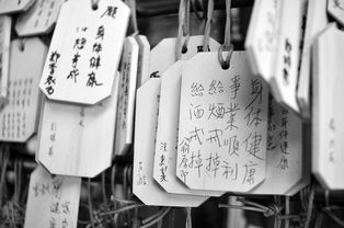 郑州抖音月付套现攻略，揭秘月付套出来的秘密！