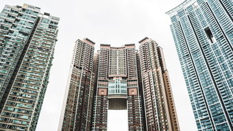 成都市花呗套商铺现象分析