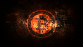 京东白条提现攻略，轻松把虚拟额度变成真金白银！