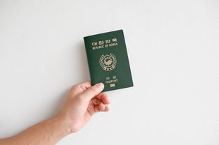 京东白条显示提现中 京东白条提现中的神秘之旅