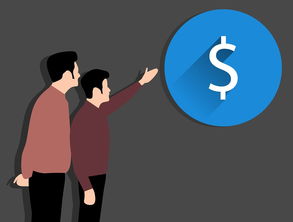 白条取现额度是否显示，一文解读你的疑问