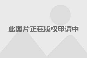 东风日产本田suv车型 东风日产本田suv全部车型及价格