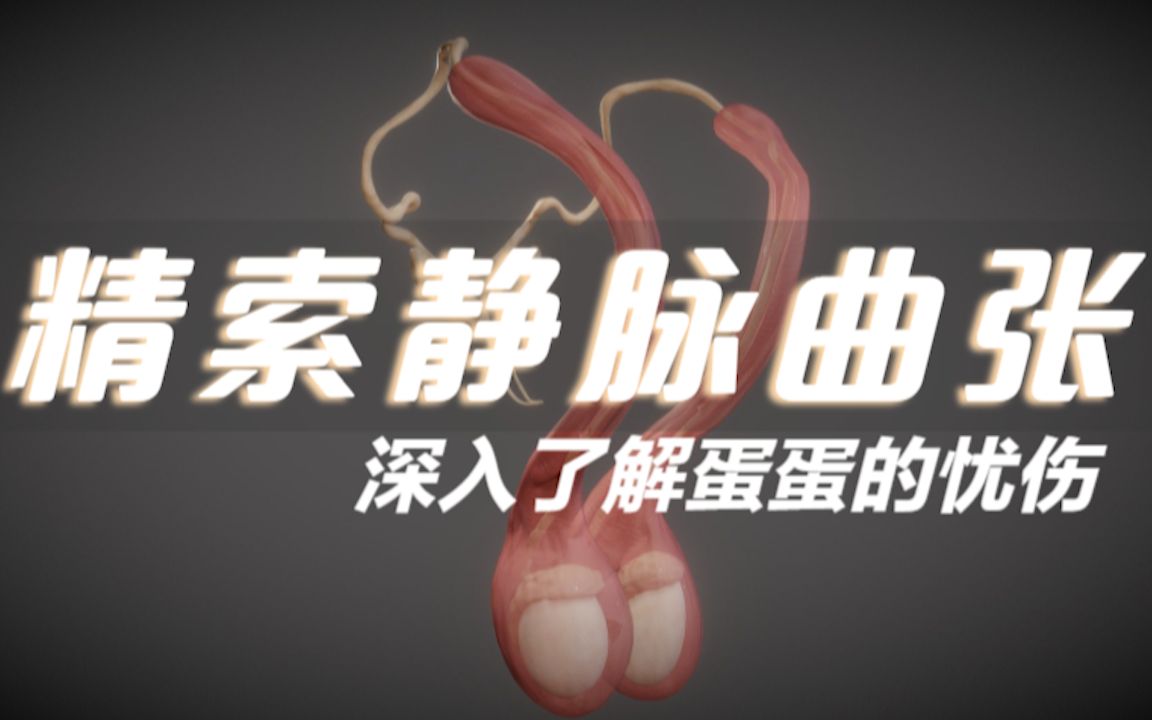 为什么会精索静脉曲张 为什么精索静脉曲张不能去当兵