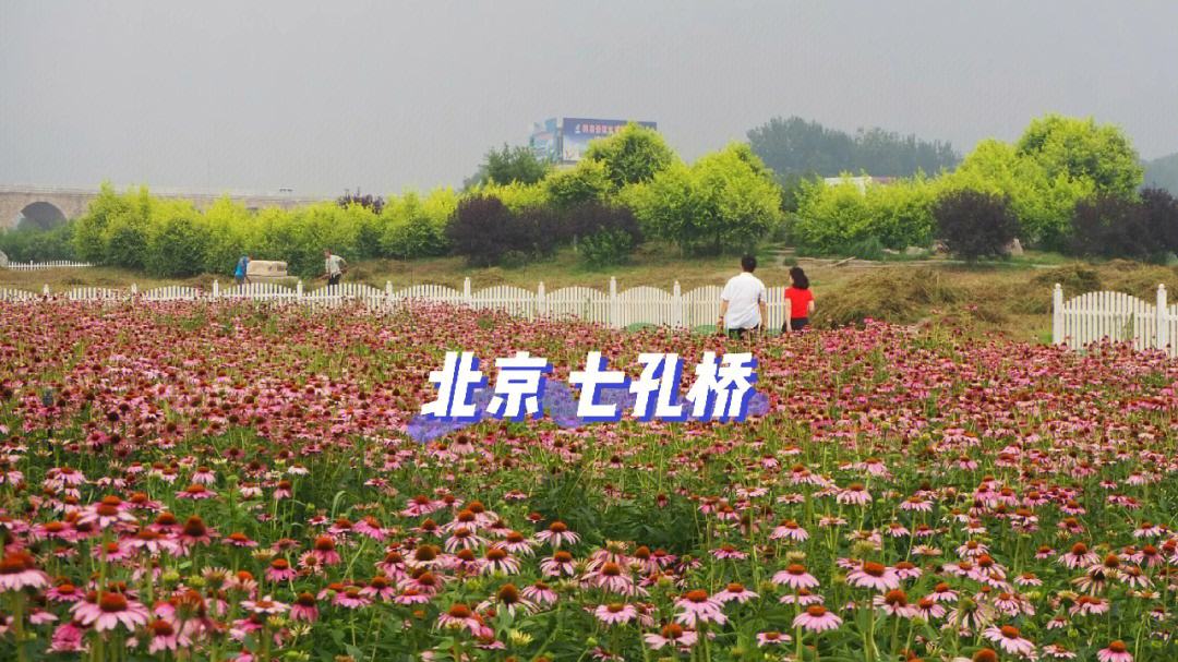 北京周末闺蜜去哪玩 北京周末闺蜜去哪玩比较好