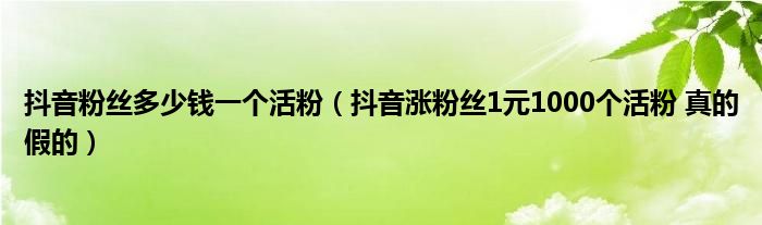 玩抖音粉丝需要多少钱一个 玩抖音粉丝需要多少钱一个小时