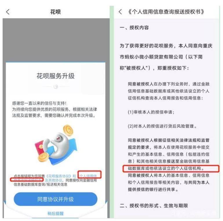 征信怎么提现花呗额度不足 征信怎么提现花呗额度不足的钱