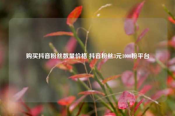 购买抖音粉丝数量价格 抖音粉丝3元1000粉平台