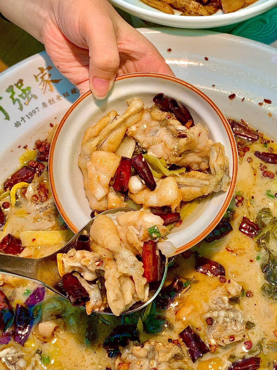 酸菜鱼牛蛙的正宗做法视频 酸菜鱼牛蛙的正宗做法视频教学