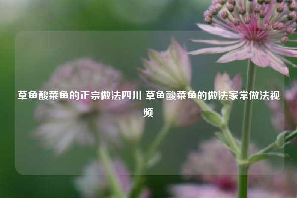 草鱼酸菜鱼的正宗做法四川 草鱼酸菜鱼的做法家常做法视频
