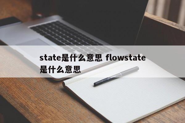 state是什么意思 flowstate是什么意思