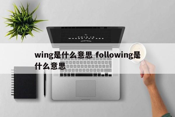 wing是什么意思 following是什么意思