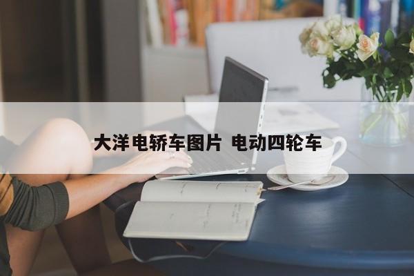 大洋电轿车图片 电动四轮车