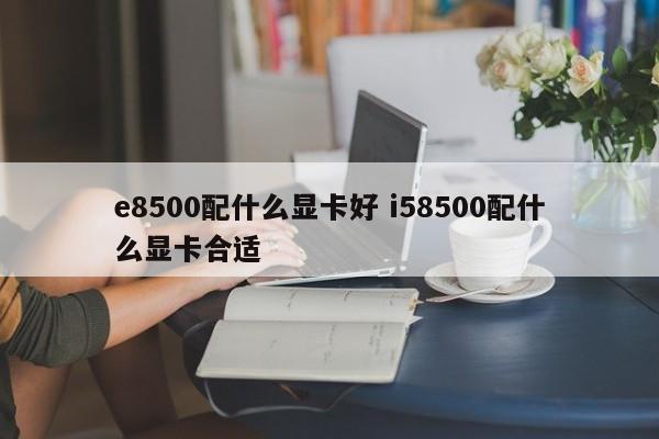 e8500配什么显卡好 i58500配什么显卡合适