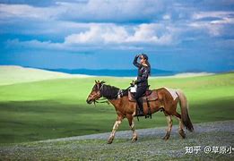 哪里能骑马(哪里能骑马的地方吗)