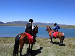 哪里能骑马(哪里能骑马的地方吗)