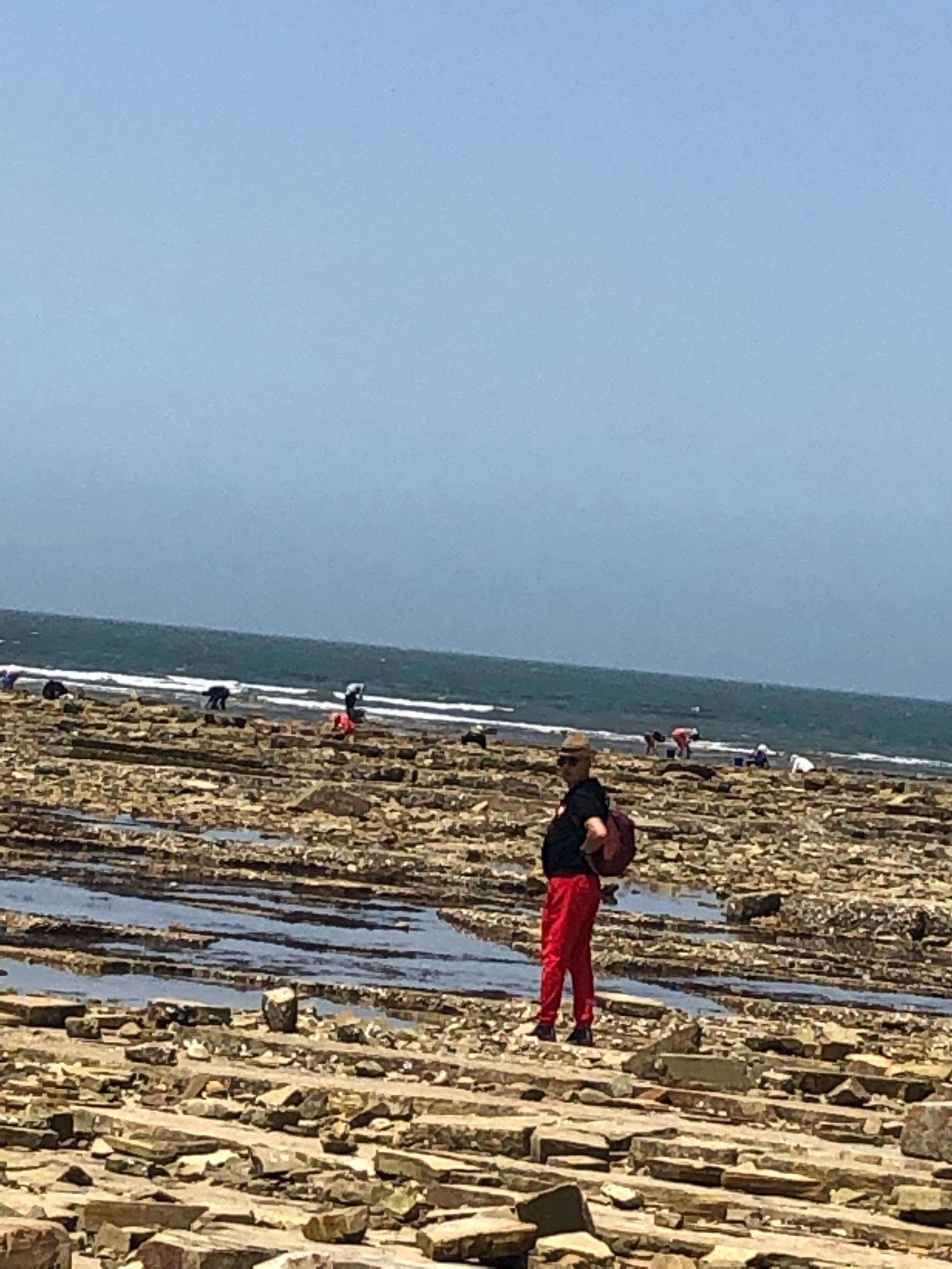大连赶海去哪里(大连赶海好地方在哪里)