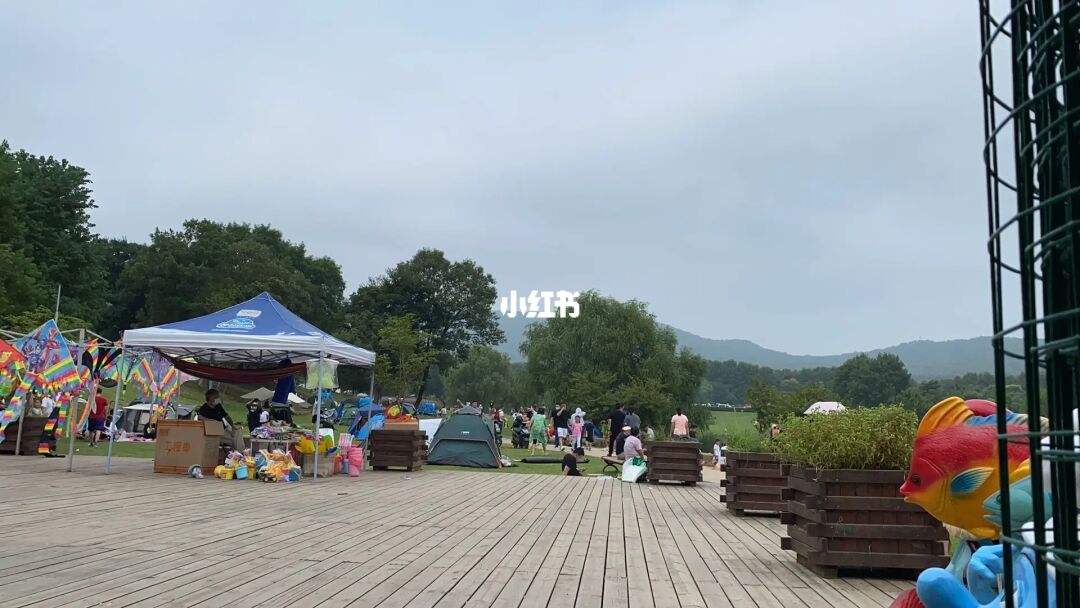 周末10岁小孩去哪玩最好(周末10岁小孩去哪玩最好呢)