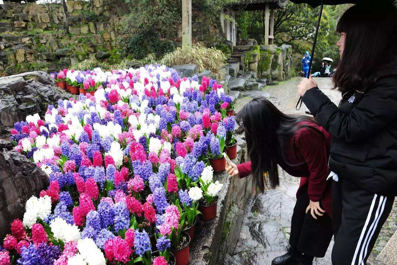 冬季周末下雨去哪玩好玩(冬季周末下雨去哪玩好玩儿)