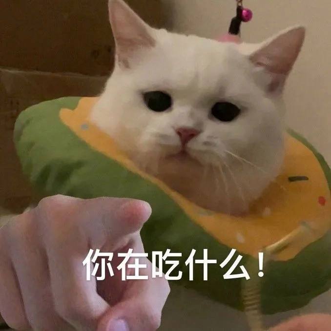 食什么(食什么味的成语)