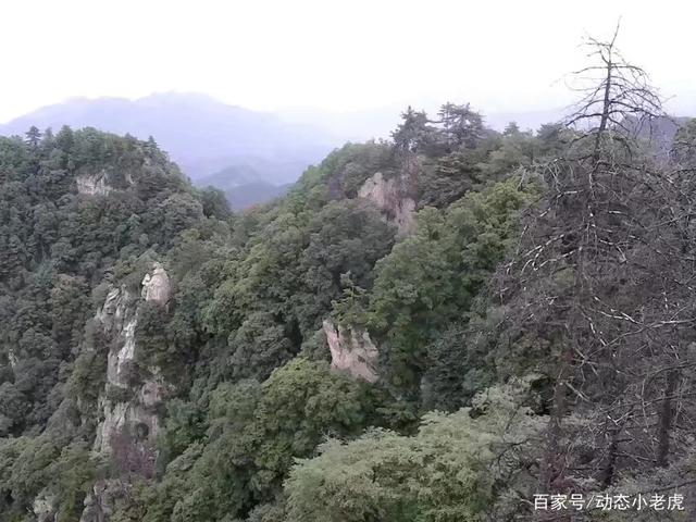 离山是哪里(离山最近的地方)