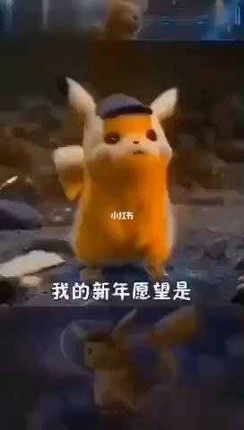 我的心愿(关于个人)去哪玩的简单介绍