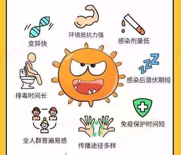诺什么(诺什么病毒会引起呕吐腹泻等状况)
