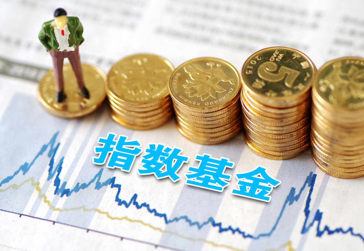 组合型指数基金有哪些股票 组合型基金有哪些品种,有何特点