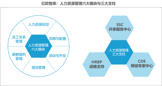 人力资源数字化 人力资源数字化转型
