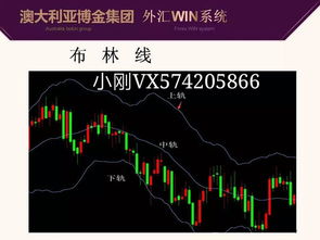 外汇和股票的区别 外汇和股票的区别是什么