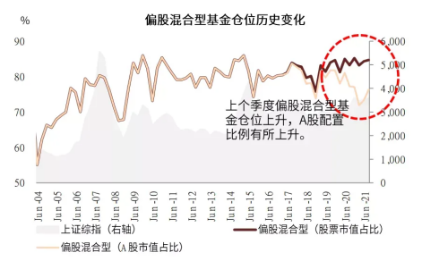偏股型股票 偏股型股票基金的特点是