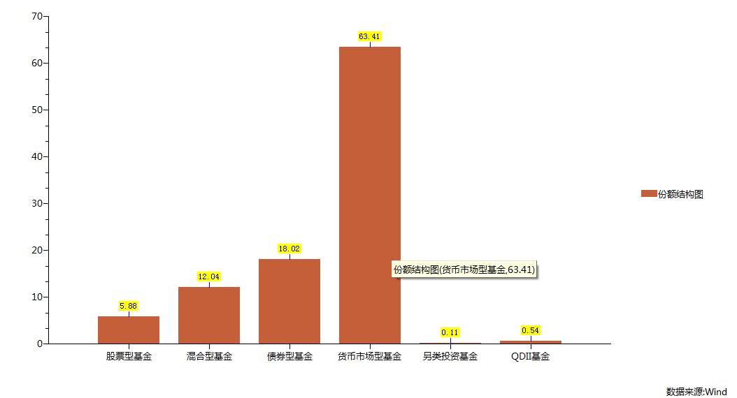 股票型或偏股型基金 买偏股型基金算散户吗