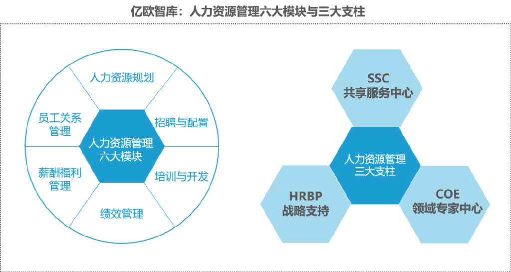 数字化人力资源 数字化人力资源管理系统