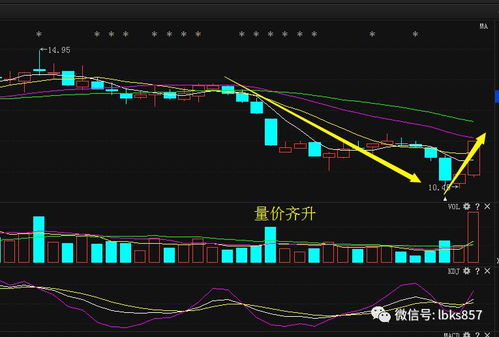 交通银行易方达科讯股票型 交通银行易方达50指数证券投资基金