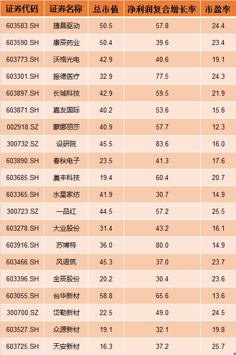 成长型股票可以买吗 什么叫成长型股票基金
