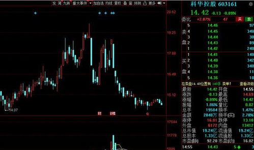 寻觅低市盈率的增长型股票 寻觅低市盈率的增长型股票是什么