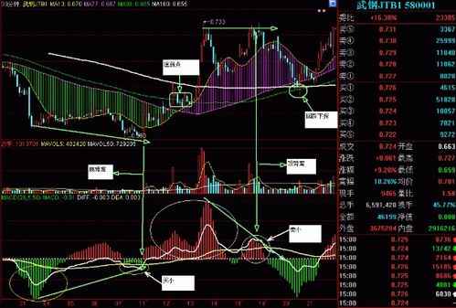 股票风险评测进取型 股票风险评估激进型怎么答题