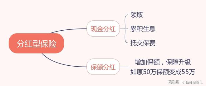 中铁股票分红型保险 中铁股票分红是什么时候