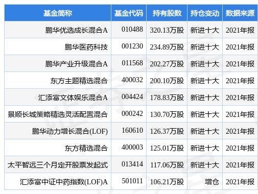 基金股票型和混合型哪种好 股票基金和混合型基金哪个风险更高
