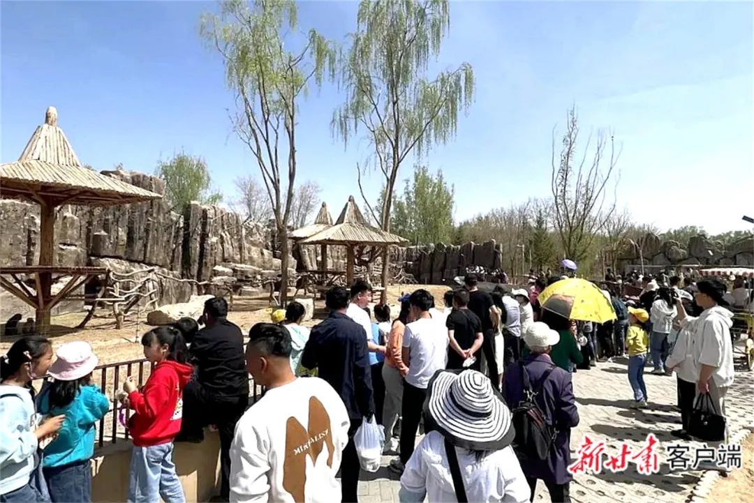 武威消费券领取 武威消费券领取地点