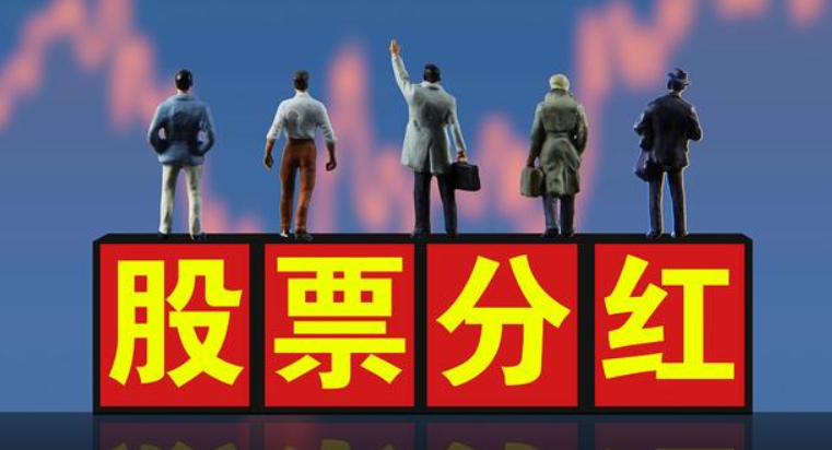 什么是分红型股票 什么是分红型股票基金