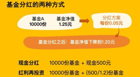 用友股票分红型保险 用友股票分红型保险是什么