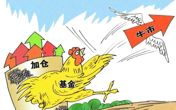 基金配置型和股票型的区别 基金配置型和股票型的区别和联系