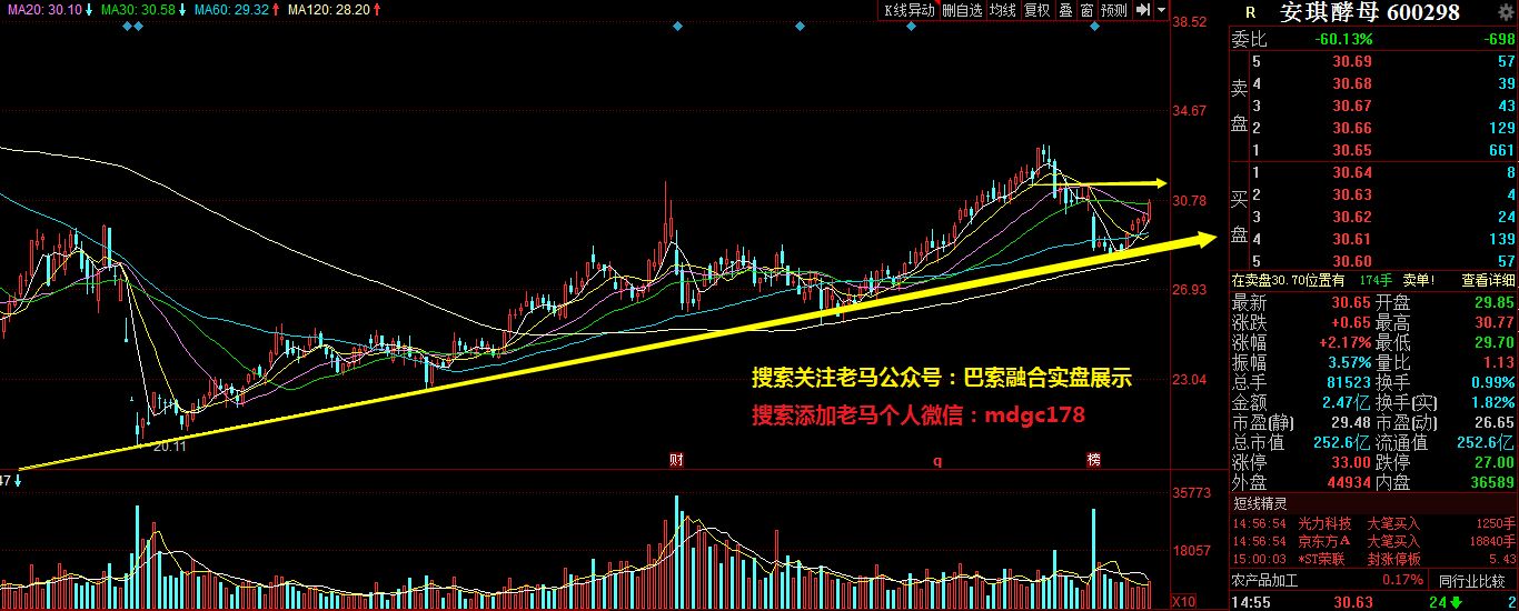 防守型股票有什么特点 防守型股票的特点有哪些