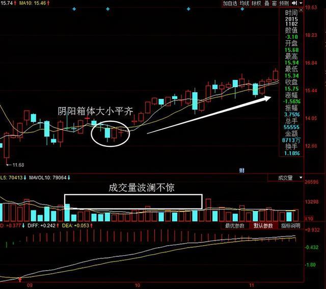 股票冲动型什么意思 